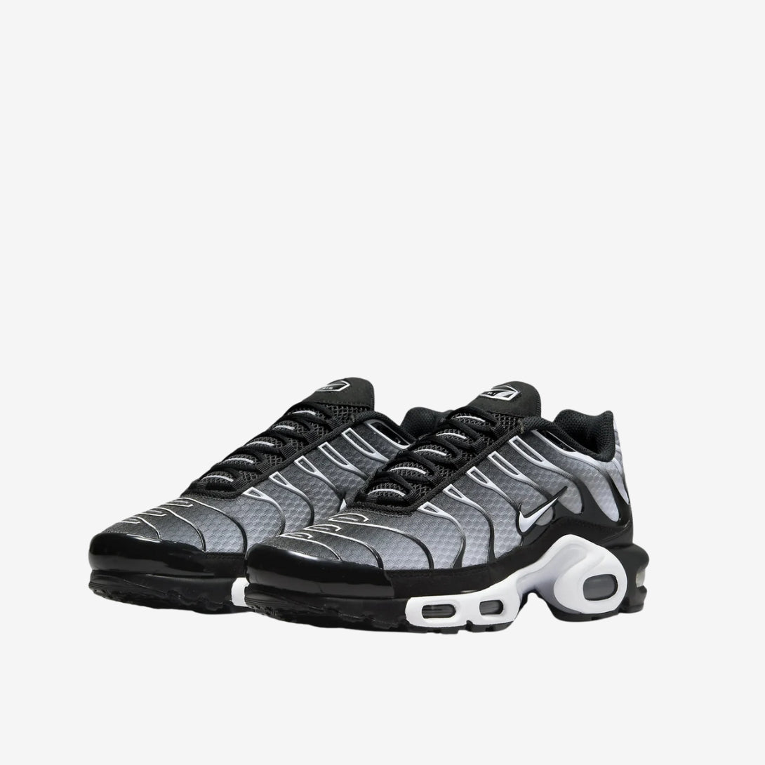 Nike Air Max TN disponible chez Wavekickz