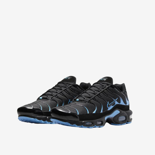 Nike Air Max TN disponible chez Wavekickz