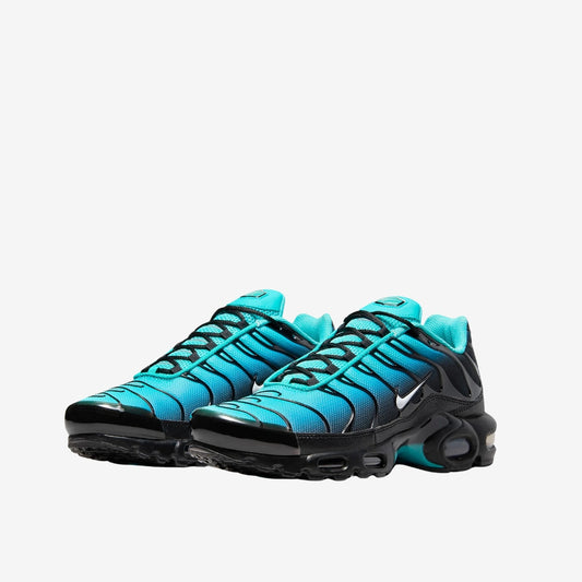 Nike Air Max TN disponible chez Wavekickz