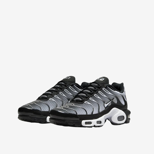 Nike Air Max TN disponible chez Wavekickz