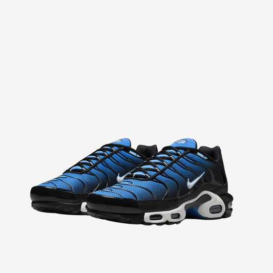 Nike Air Max TN disponible chez Wavekickz