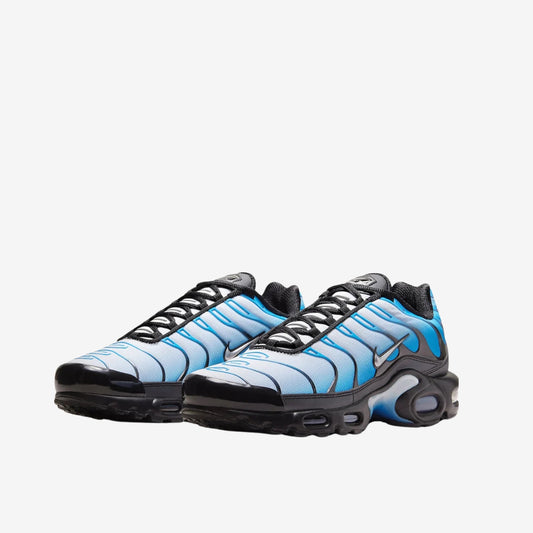 Nike Air Max TN disponible chez Wavekickz