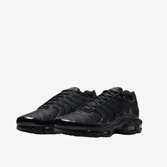 Nike Air Max TN disponible chez Wavekickz