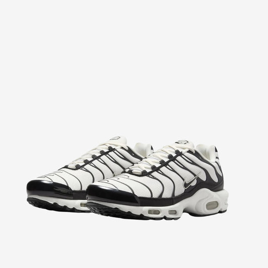 Nike Air Max TN disponible chez Wavekickz