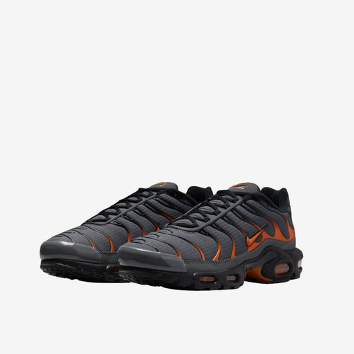 Nike Air Max TN disponible chez Wavekickz