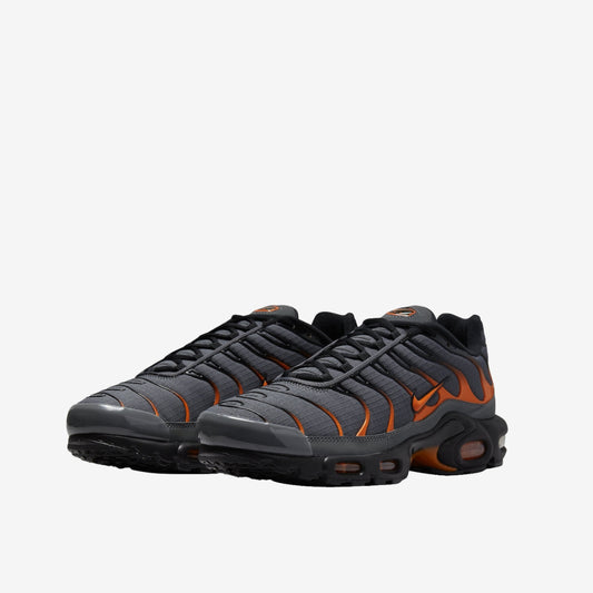 Nike Air Max TN disponible chez Wavekickz